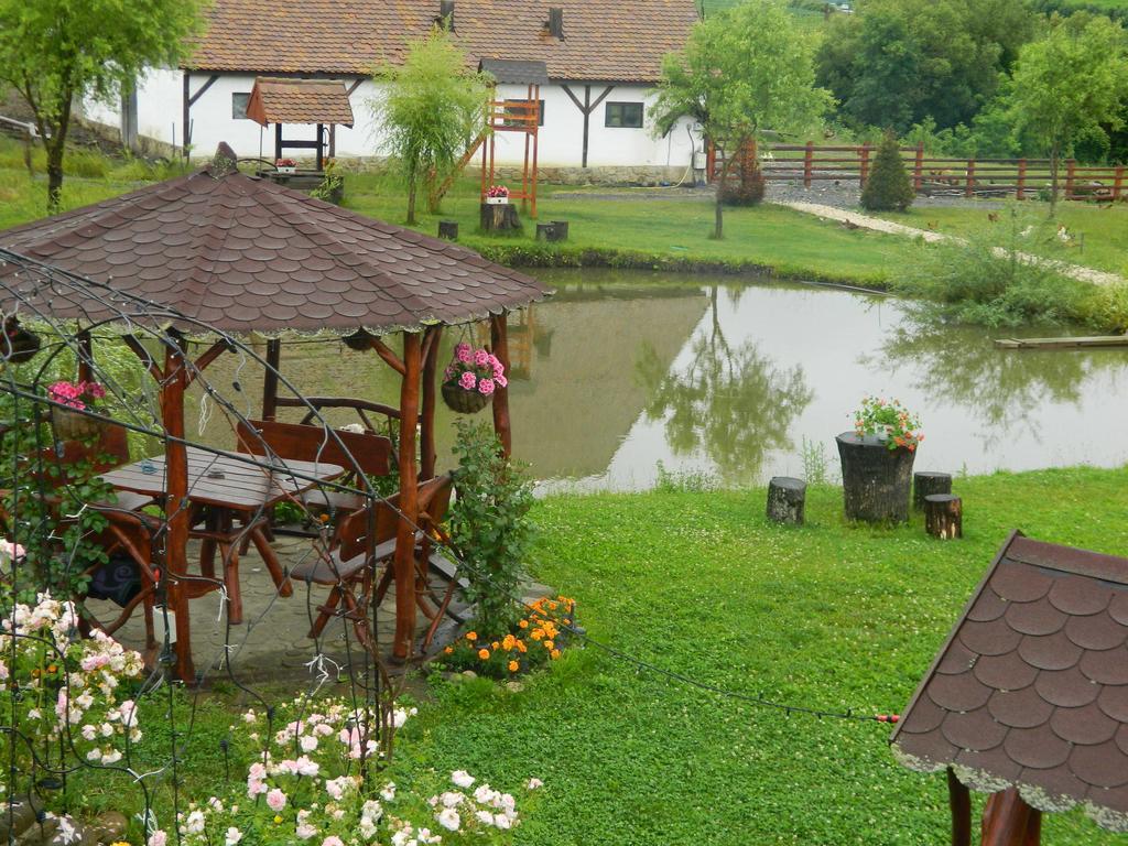 Pensiunea Violeta Saschiz Bagian luar foto