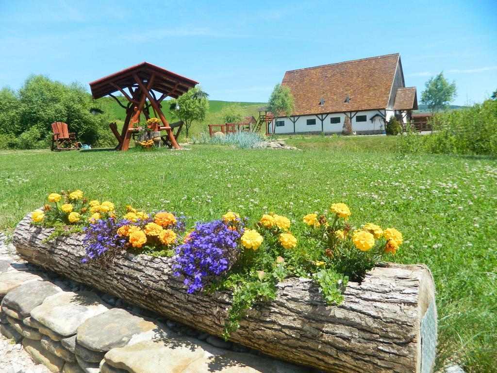 Pensiunea Violeta Saschiz Bagian luar foto