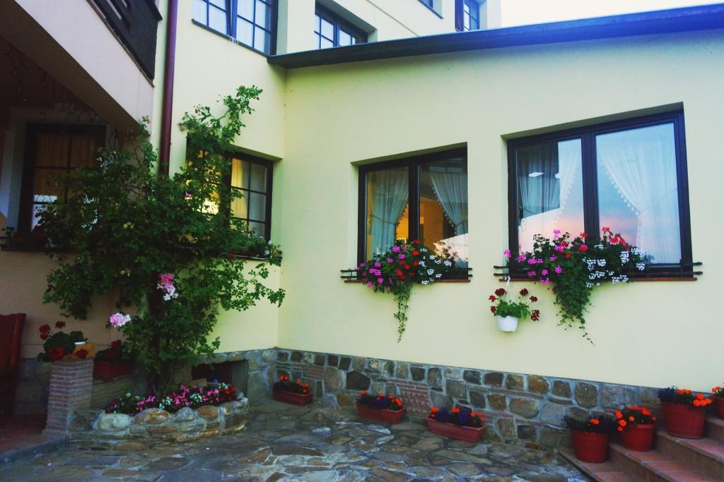 Pensiunea Violeta Saschiz Bagian luar foto