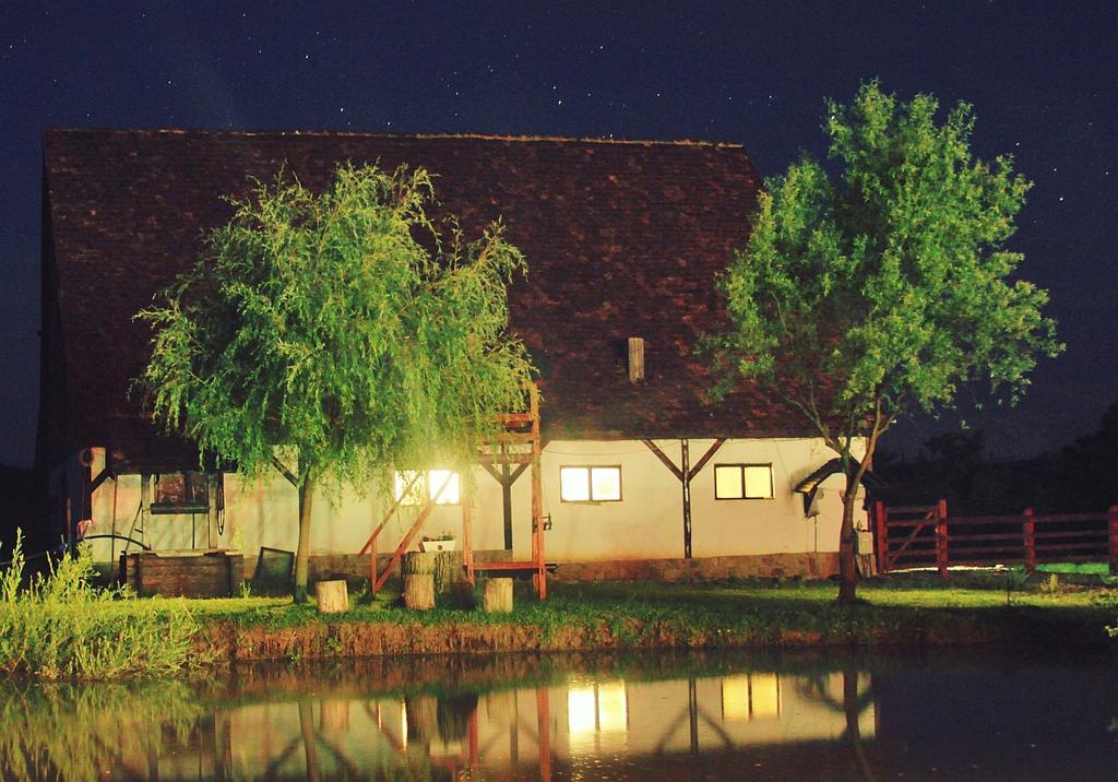 Pensiunea Violeta Saschiz Bagian luar foto