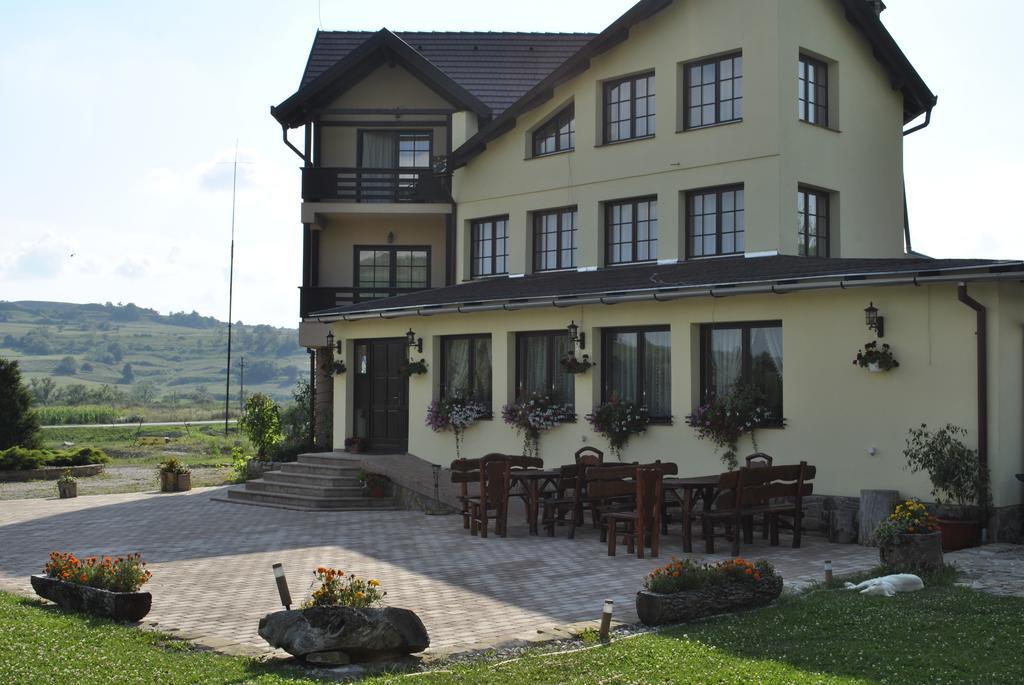 Pensiunea Violeta Saschiz Bagian luar foto