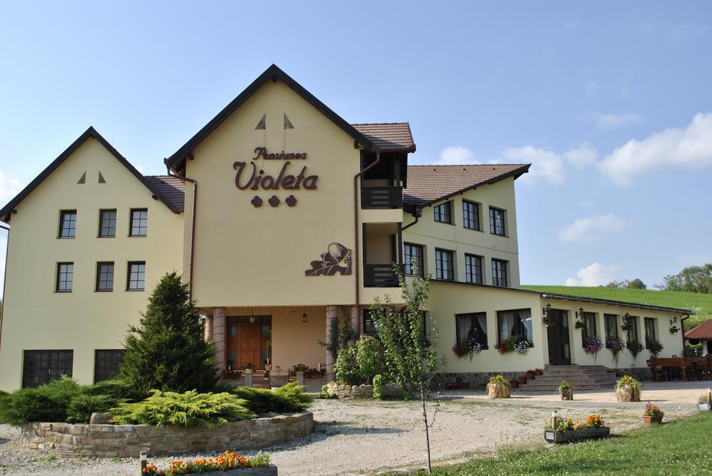 Pensiunea Violeta Saschiz Bagian luar foto