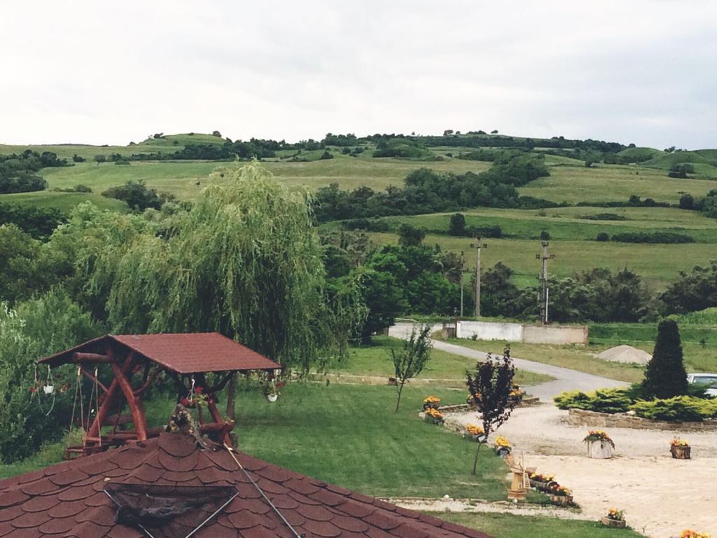 Pensiunea Violeta Saschiz Bagian luar foto