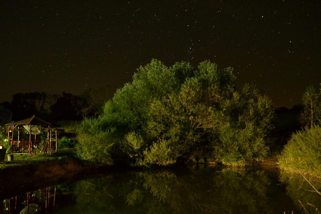 Pensiunea Violeta Saschiz Bagian luar foto